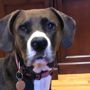 Meet your Posher, Catherine